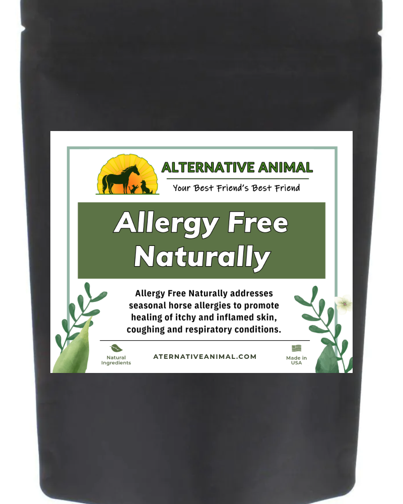 allergy supplement for horses