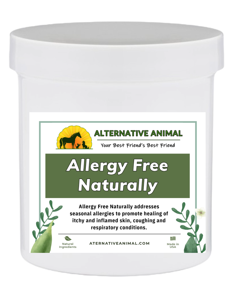 dog allergy supplement