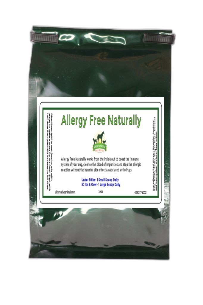 Allergy Supplement for Dogs & Cats