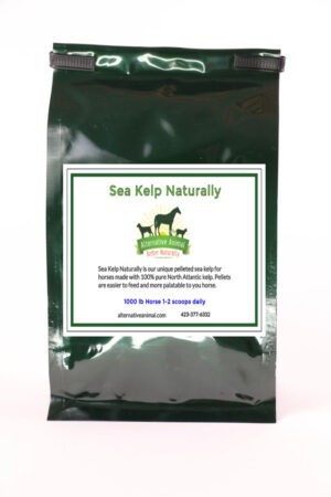 Kelp for Horses