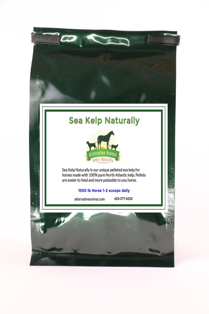 Kelp for Horses