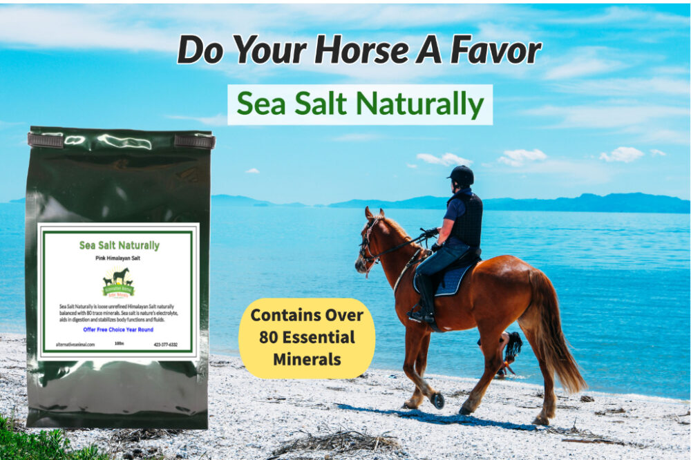 Himalayan Salt for Horses