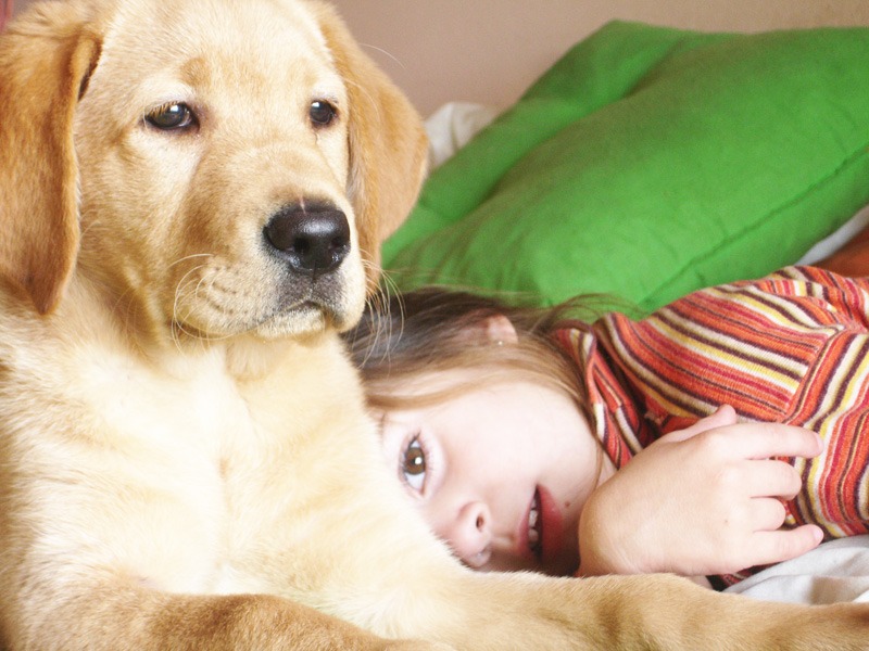 Top 10 Reasons to Use All-Natural Pet Products