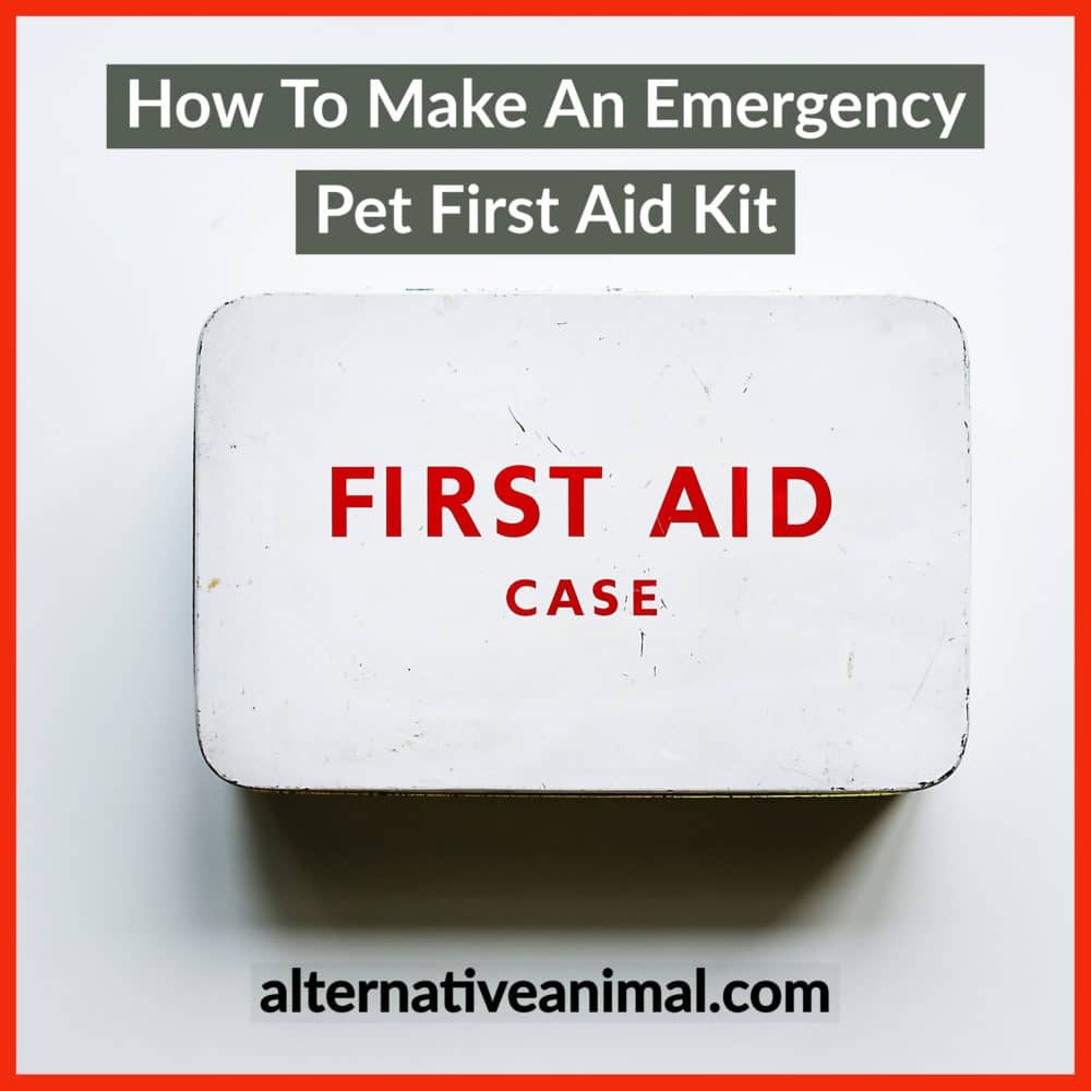 pet emergency first aid kit
