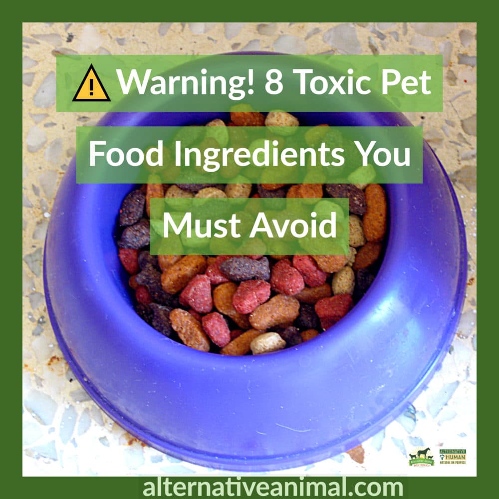 toxic pet food ingredients