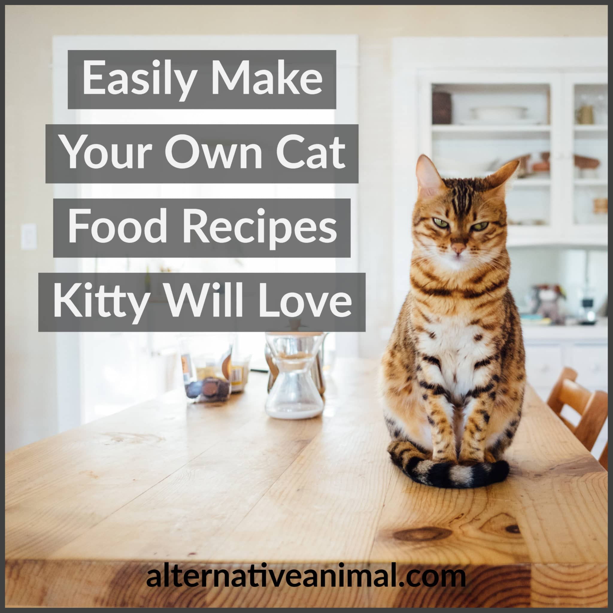 Easily Make Your Own Cat Food Recipes Kitty Will Love • Alternative Animal