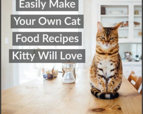 Make your own cat food