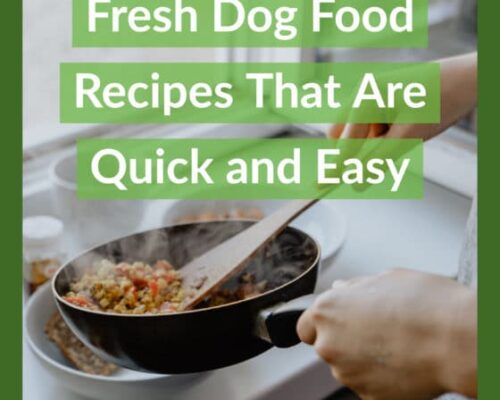 Fresh Dog Food Recipes