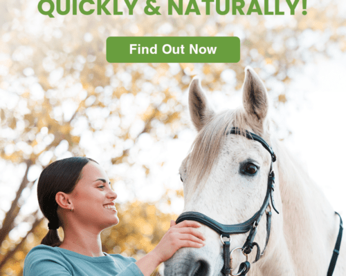 How to treat thrush in horses