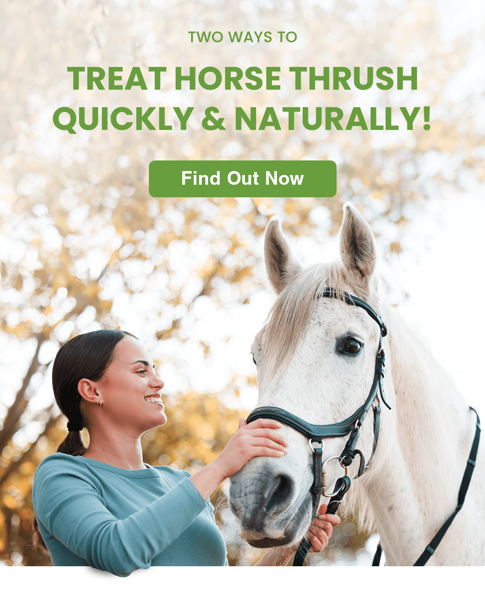 How To Treat Thrush In Horses Quickly & Naturally • Alternative Animal