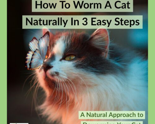 HOw to worm a cat naturally