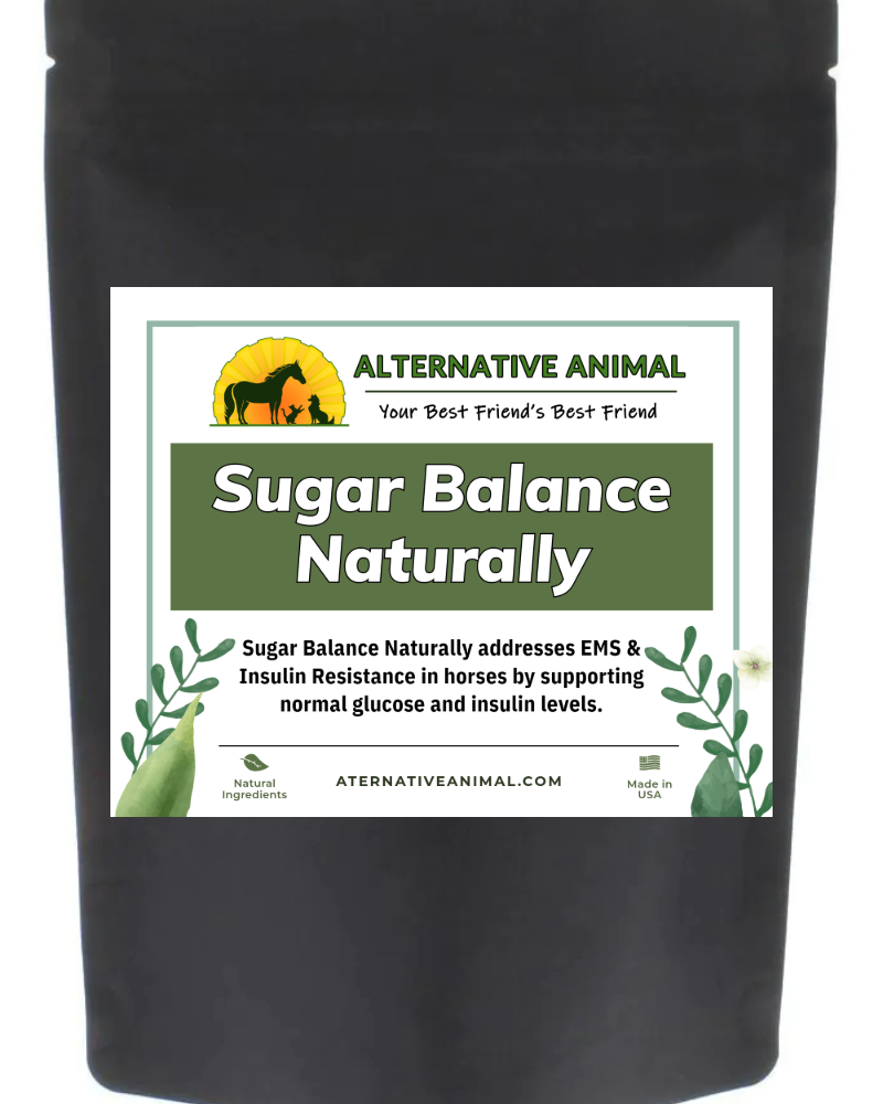 insulin resistance supplement horses