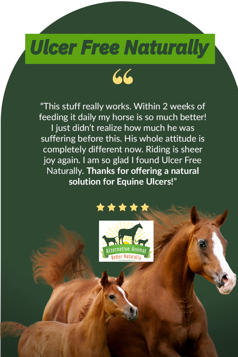 Ulcer Free Naturally Natural Ulcer Treatment For Horses • Alternative