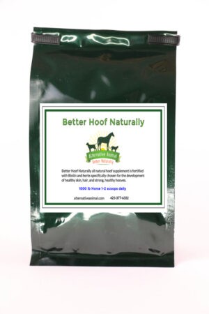 natural hoof supplement for horses