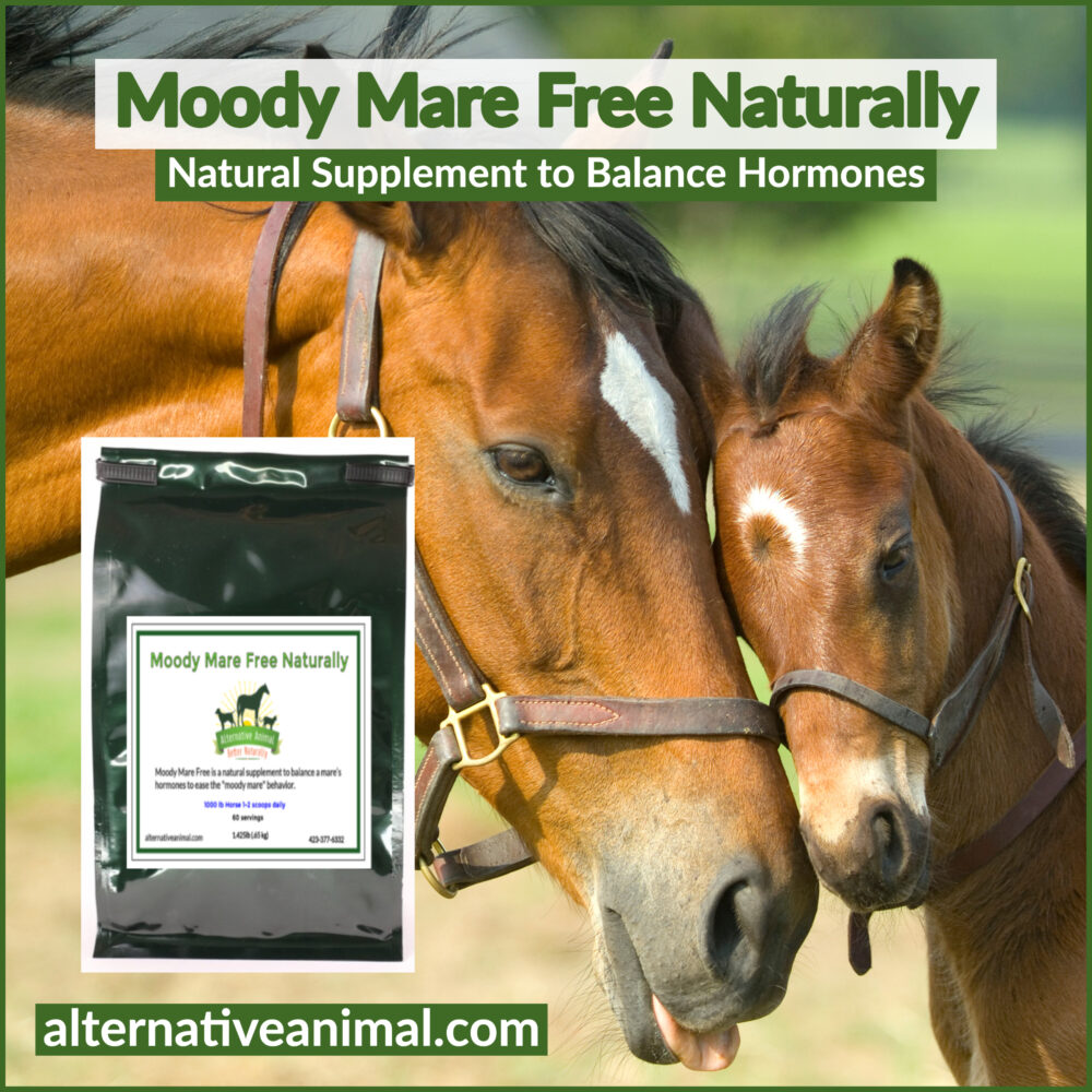 Moody Mare Supplement