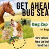Natural Flea Repellent for Dogs