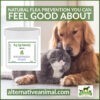 Natural Flea Repellent for Dogs