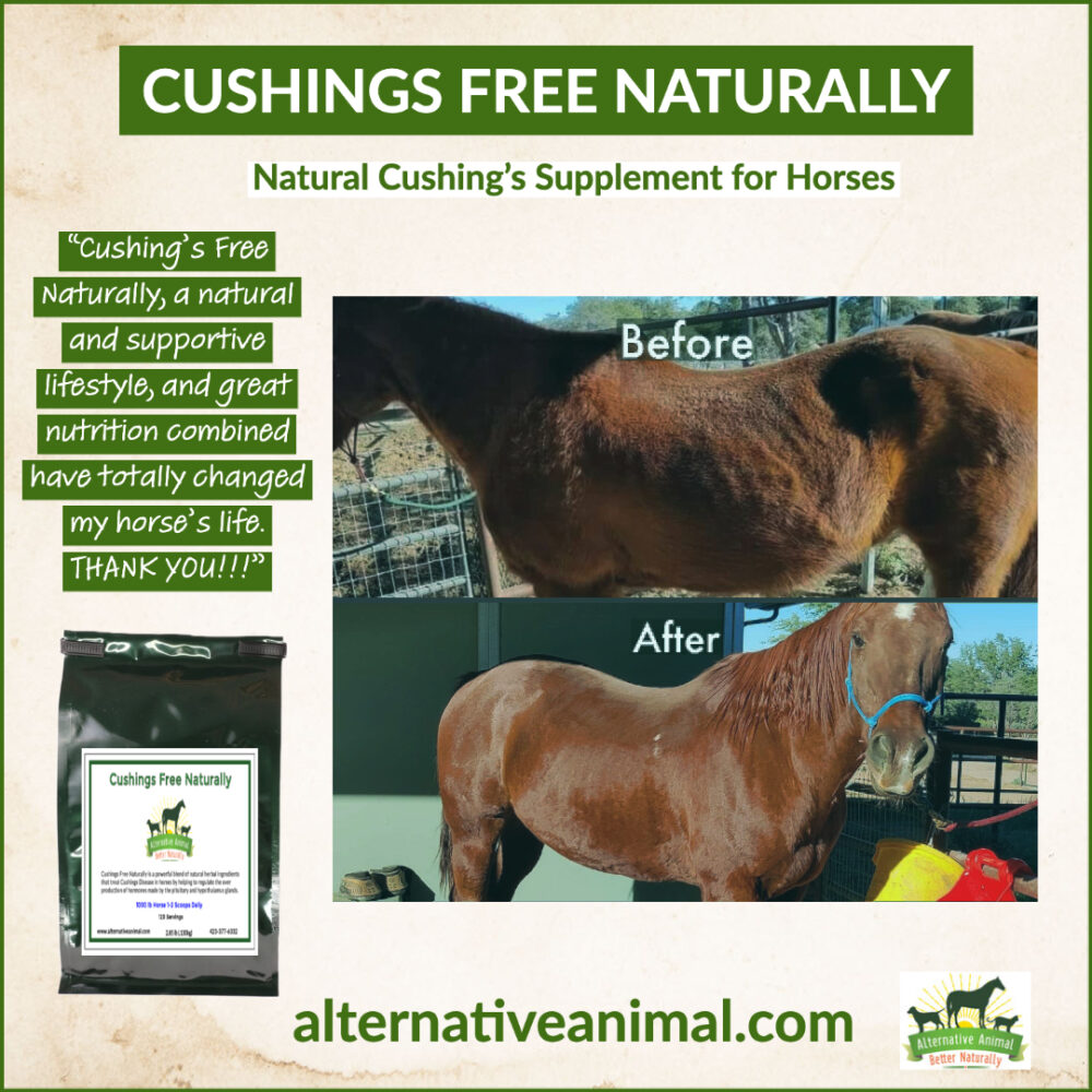 Cushing's Free Naturally Natural Cushing's Supplement For Horses