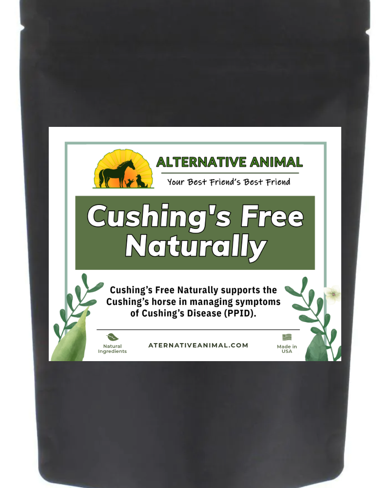 Natural Cushing's Treatment for Horses