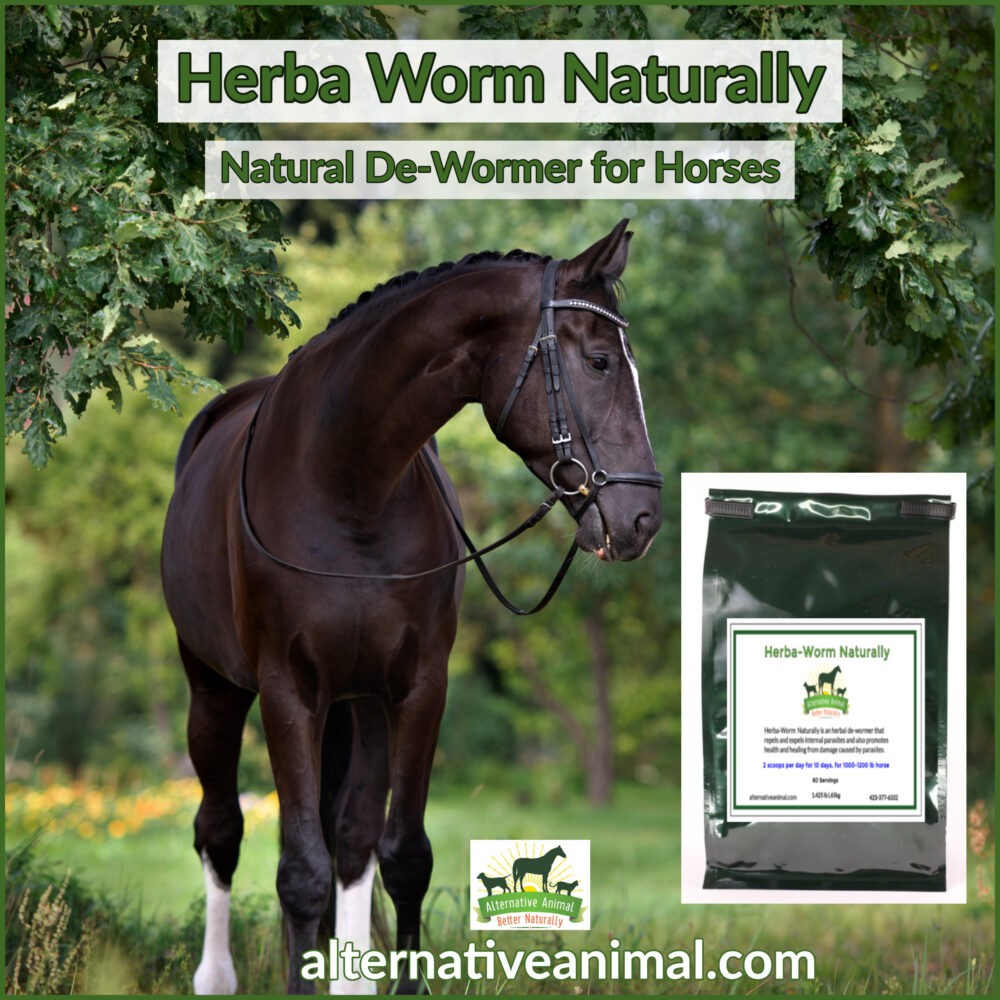 herbal horse wormer natural