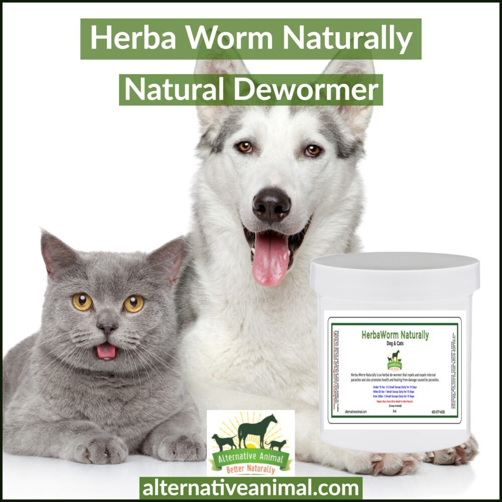 Herbal Cat Wormer