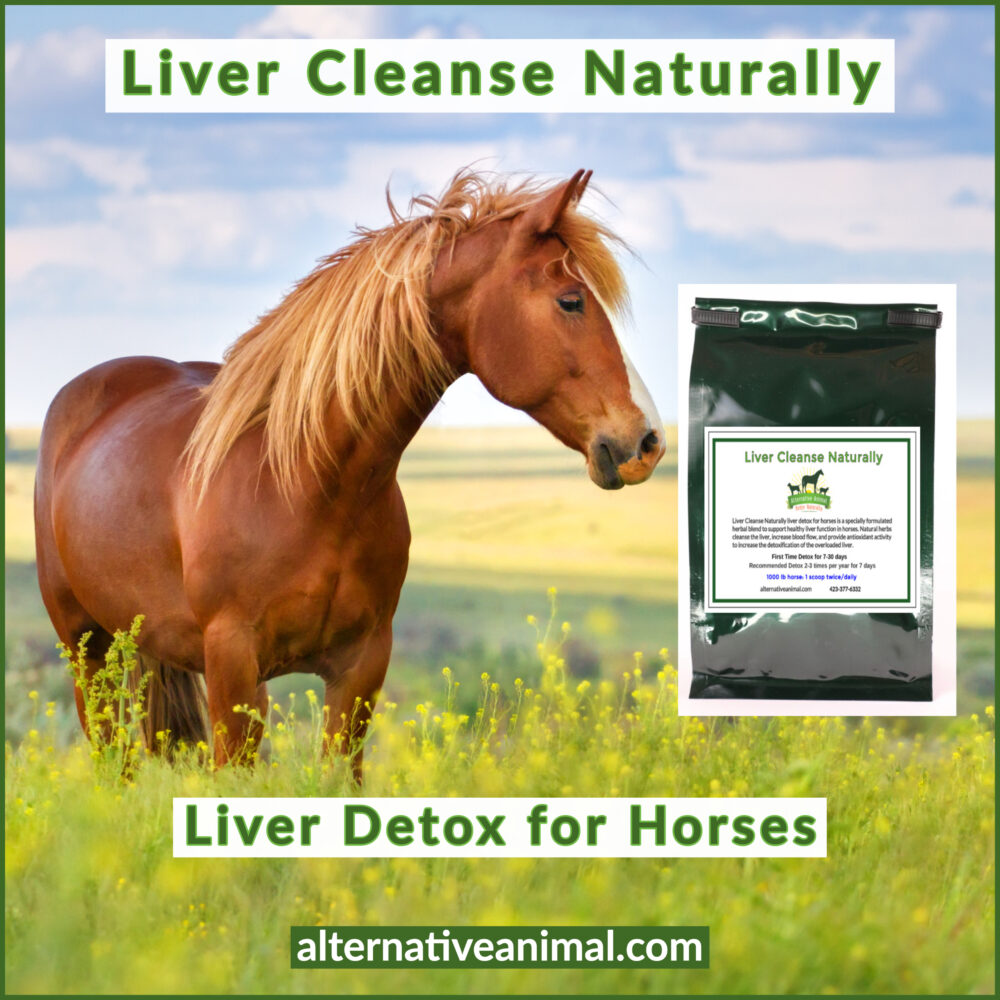 Liver Cleanse Naturally Liver Detox for Horses Alternative Animal