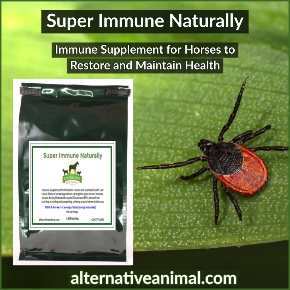 Lyme Disease Supplement for Horses