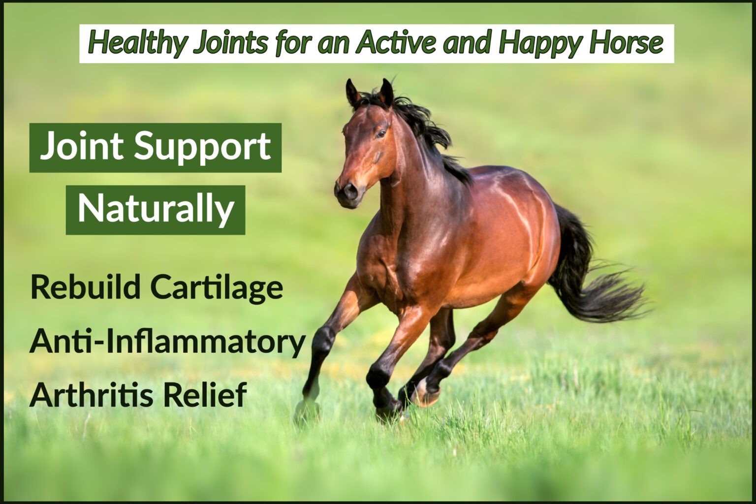 Joint Support Naturally Horse Joint Supplement • Alternative Animal