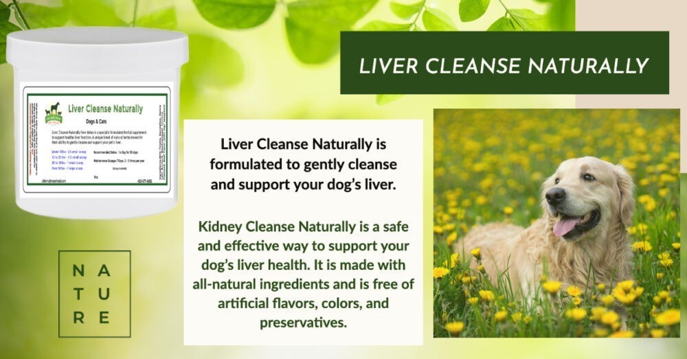Liver Supplement for Dogs