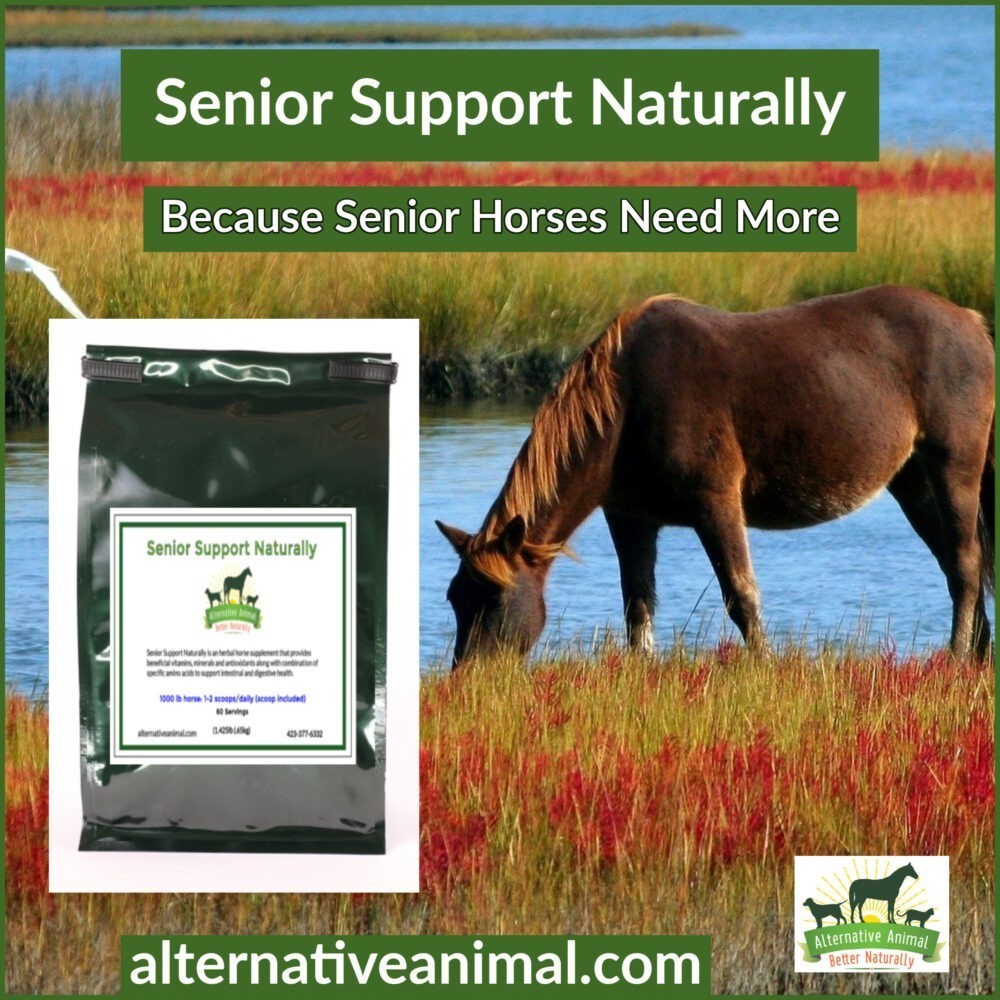 Equine Senior Supplement