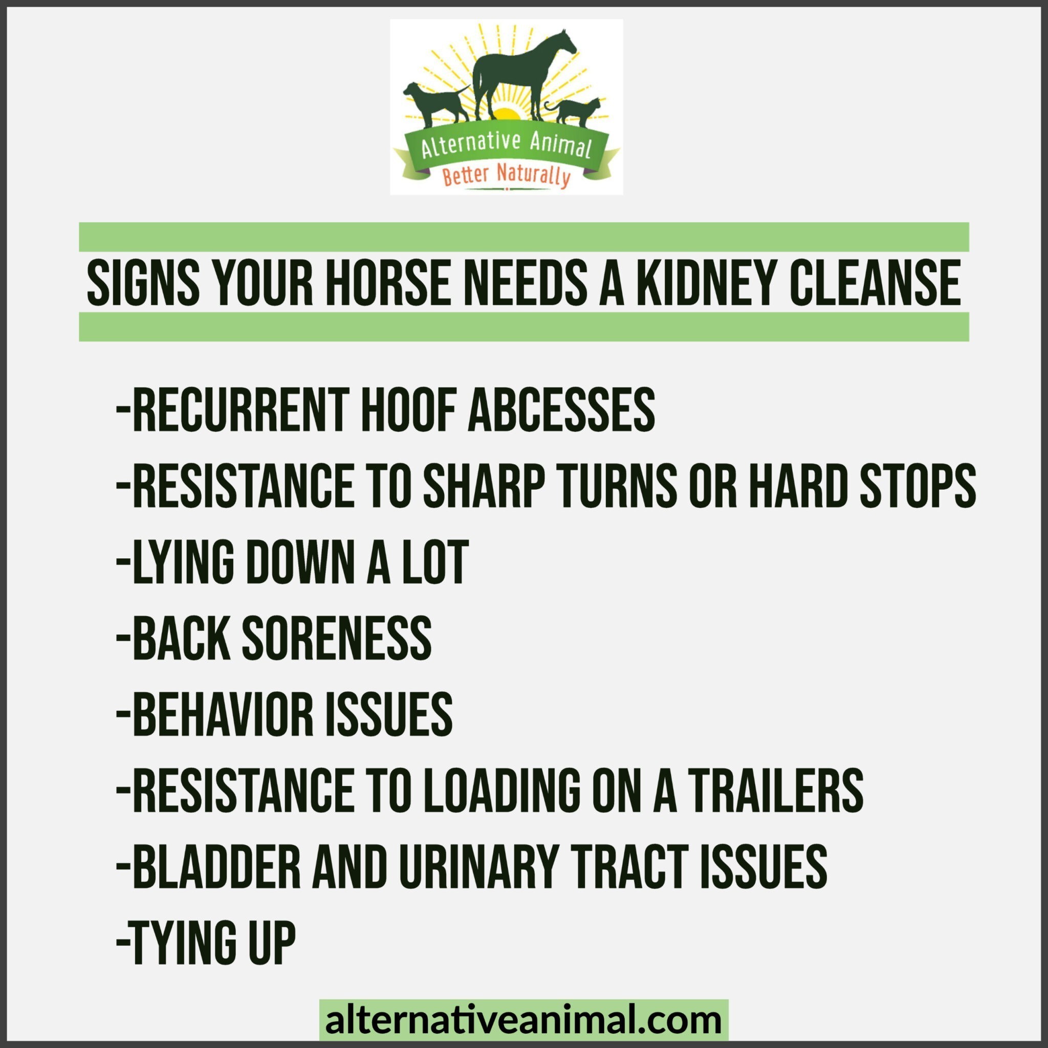 Kidney Cleanse Naturally Equine Kidney Flush • Alternative Animal