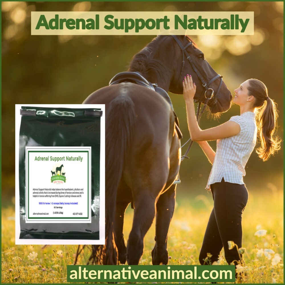 Equine Adrenal Supplement