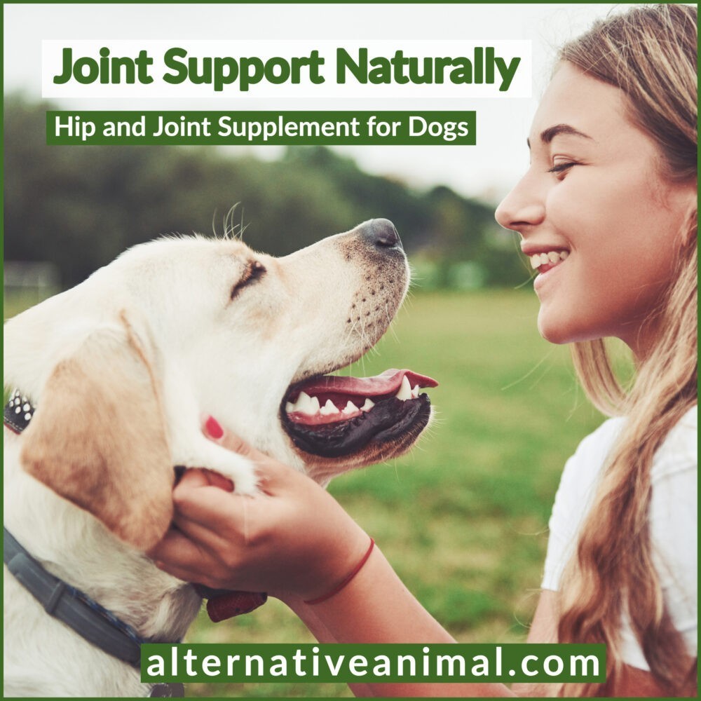 Natural Joint Support for Dogs