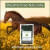 Equine Heaves Supplement