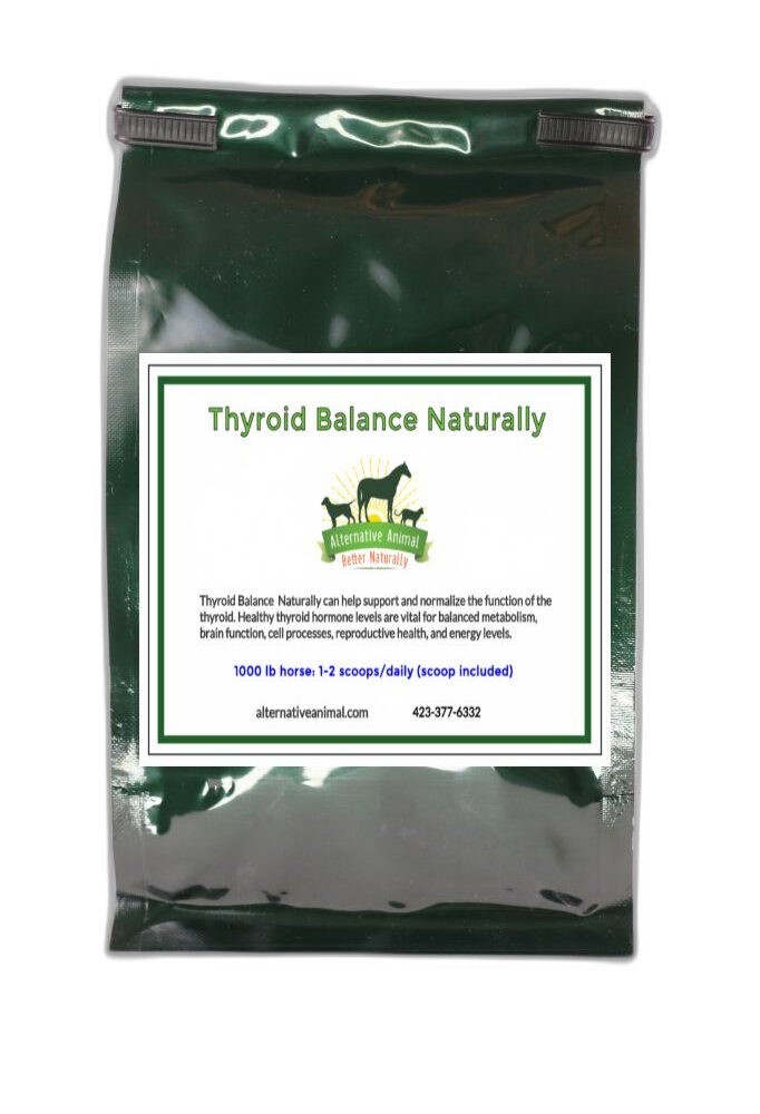 Thyroid Supplement for horses