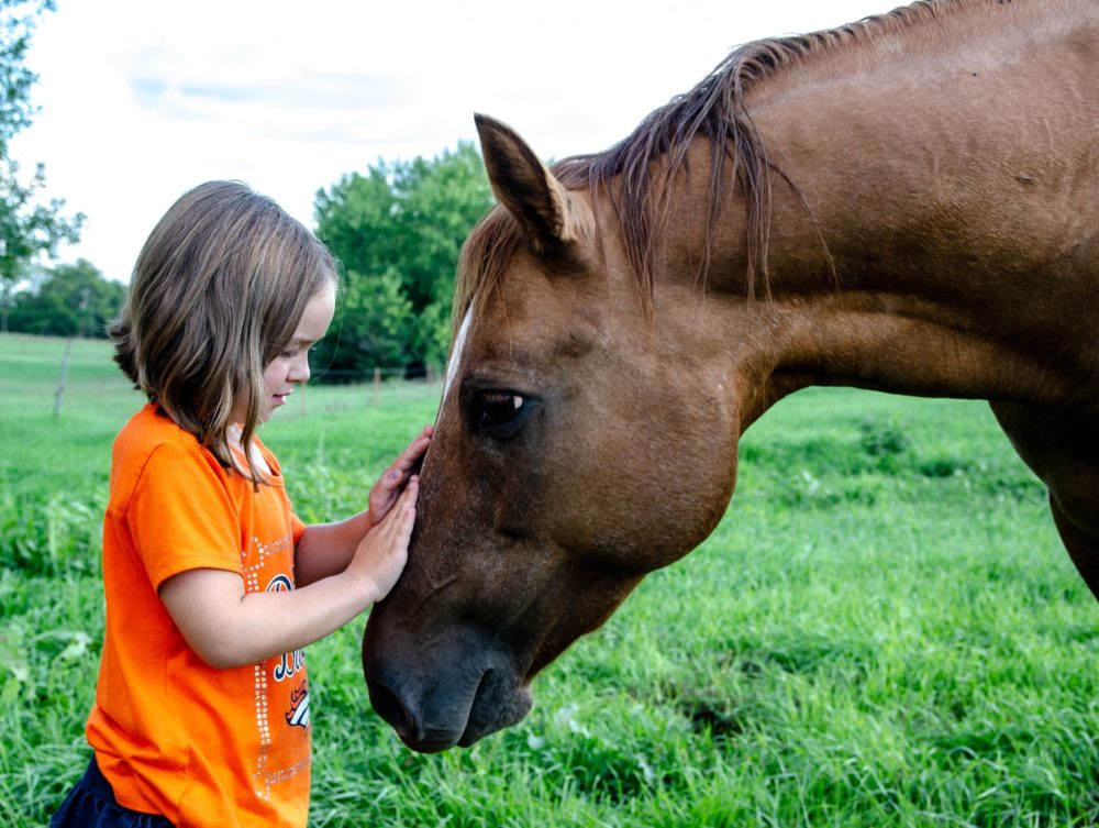 Natural Thyroid Support for horses