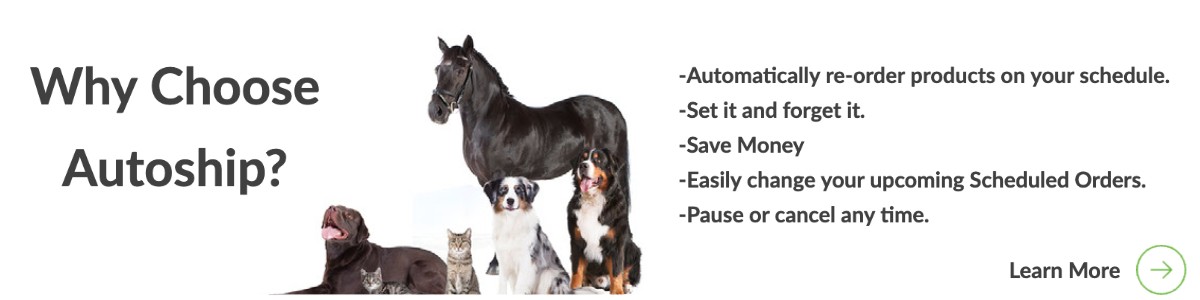 Natural Horse Supplements 3 Natural Horse Supplements