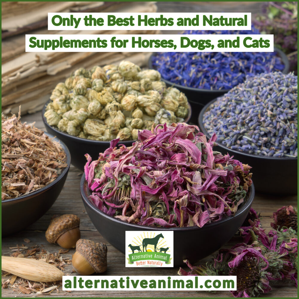 Herbal Horse Supplements