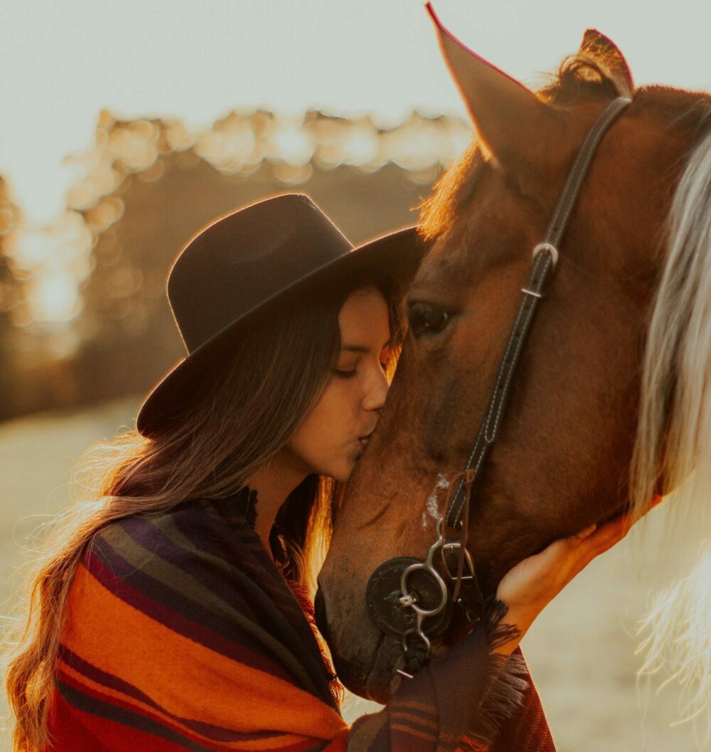 treatment of equine ulcers