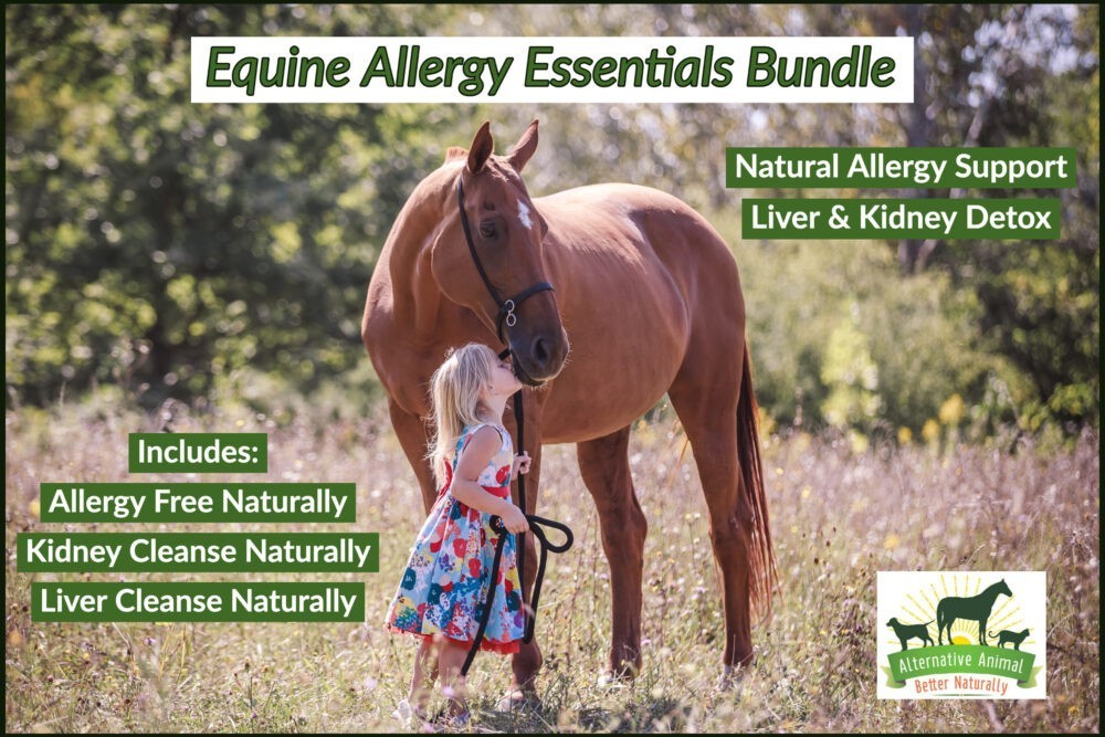 Equine Allergy Essentials Bundle