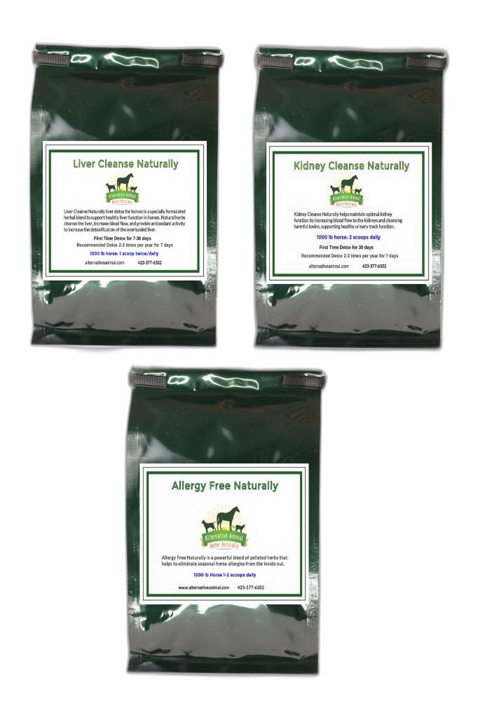 Natural Allergy Supplement for Horses