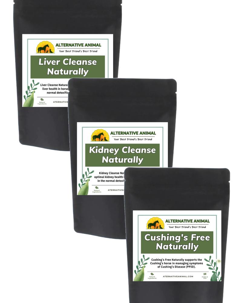 Equine Cushing's Disease Essentials