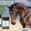Liver & Kidney Cleanse for Horses