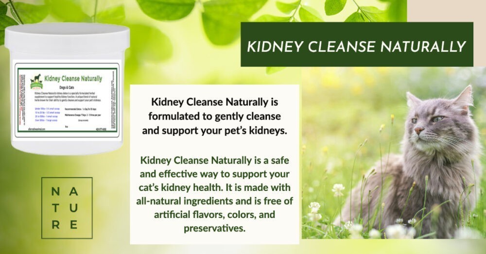 Kidney Supplement for Cats