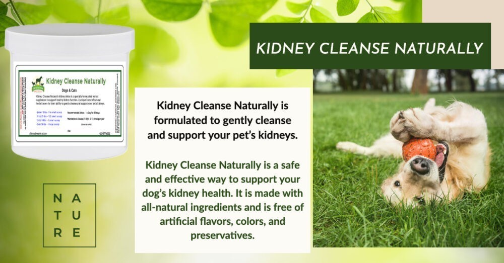 Kidney Supplement for Dogs