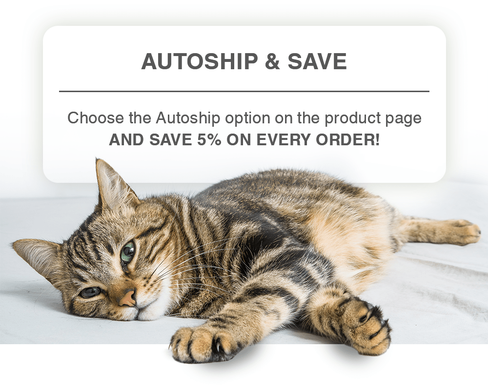 Buy Natural Cat Products