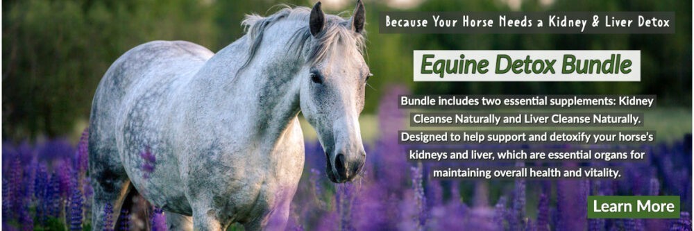 Natural Supplements for Horses 1