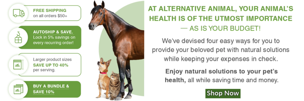 Alternative Animal Natural Supplements for Horses 1
