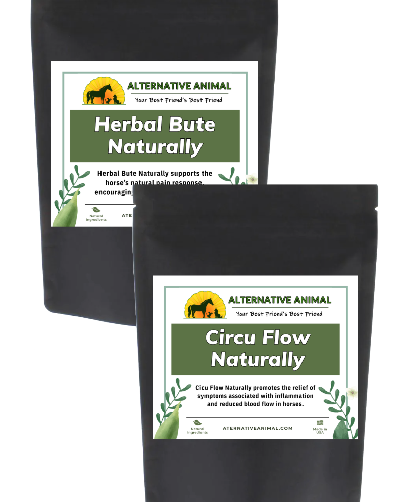 Natural Pain Support for Horses